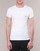 Textil Muži Trička s krátkým rukávem Emporio Armani CC716-111035-00010 Bílá