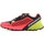 Boty Ženy Běžecké / Krosové boty Dynafit Alpine Pro W Růžové, Bledě zelené, Grafitové