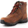 Boty Ženy Pohorky Ariat Trekking shoes  Berwick Lace Gtx Insulated 10016229 Hnědá