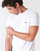 Textil Muži Trička s krátkým rukávem Lacoste TH6709 Bílá