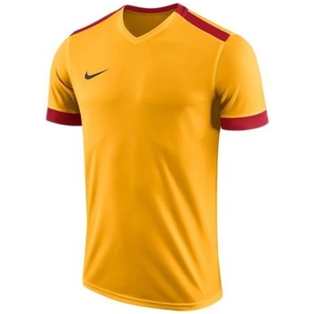 Textil Muži Trička s krátkým rukávem Nike Dry Park Derby II Jersey Oranžové, Žluté