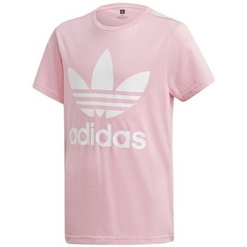Textil Dívčí Trička s krátkým rukávem adidas Originals Trefoil Tee Růžová