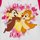 Textil Dívčí Trička s krátkým rukávem Disney WD26120-FUCSIA Růžová