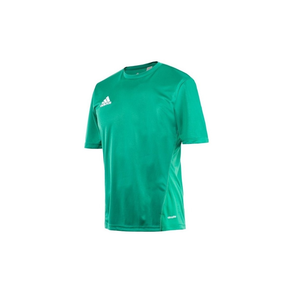 Textil Muži Trička s krátkým rukávem adidas Originals Core 15 Training Zelená