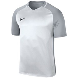 Textil Chlapecké Trička s krátkým rukávem Nike JR Dry Trophy Iii Jersey Stříbrné, Šedé