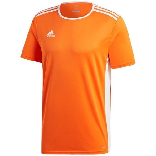 Textil Muži Trička s krátkým rukávem adidas Originals Entrada 18 Oranžová