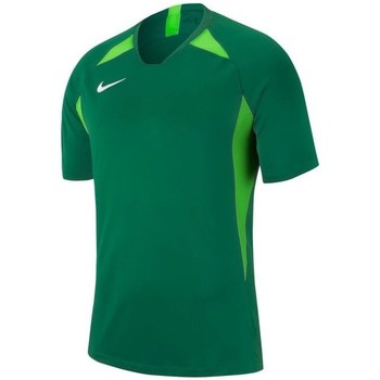 Textil Chlapecké Trička s krátkým rukávem Nike JR Legend Zelená