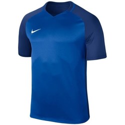 Textil Muži Trička s krátkým rukávem Nike Dry Trophy Iii Tmavě modrá
