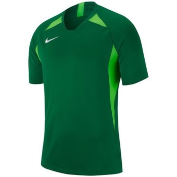 Textil Muži Trička s krátkým rukávem Nike Legend Zelená
