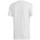 Textil Muži Trička s krátkým rukávem adidas Originals M C90 Brd Tee Bílá