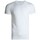 Textil Muži Trička s krátkým rukávem Tommy Hilfiger 3PAK Bílá