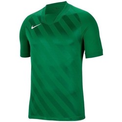 Textil Muži Trička s krátkým rukávem Nike Challenge Iii Zelená