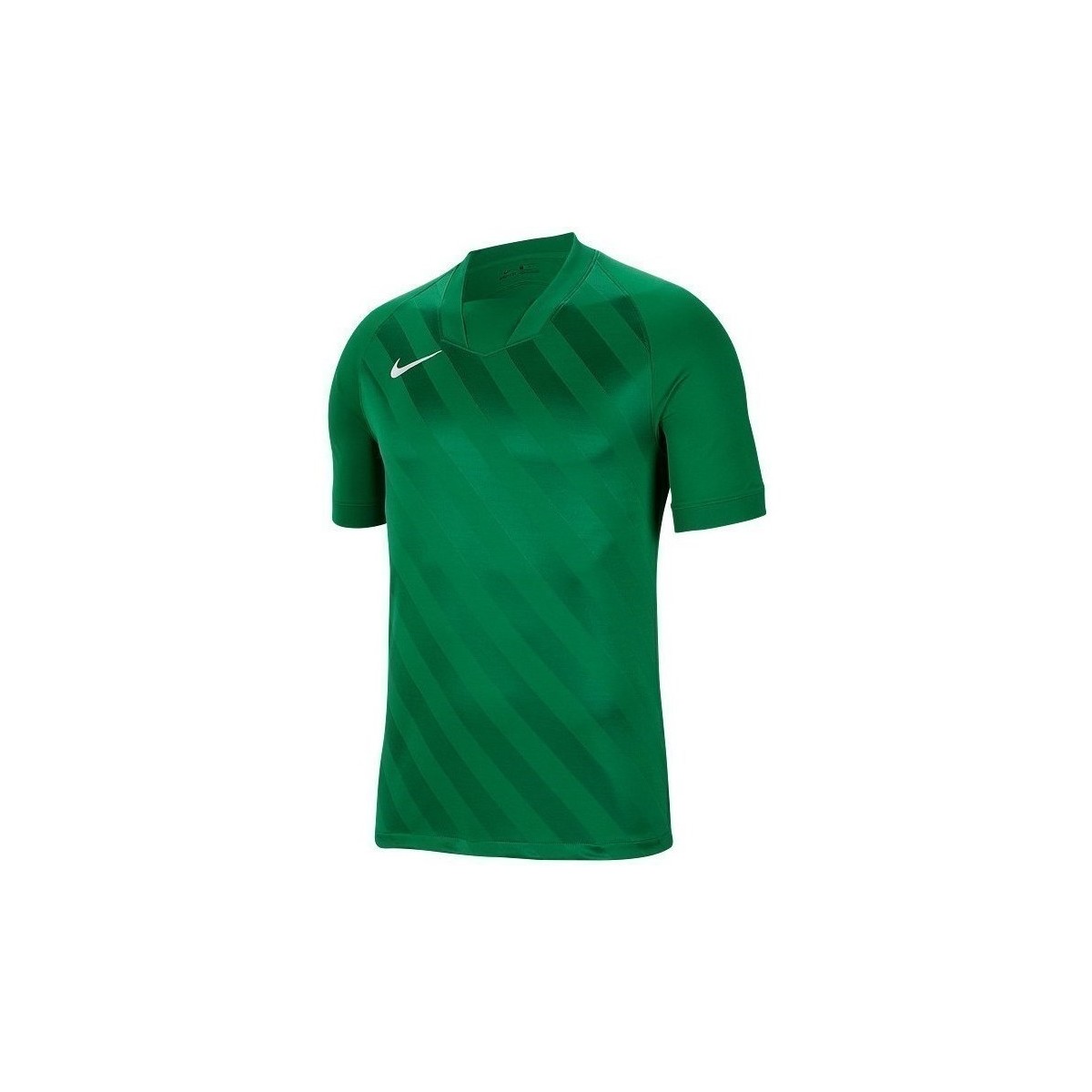 Textil Muži Trička s krátkým rukávem Nike Challenge Iii Zelená