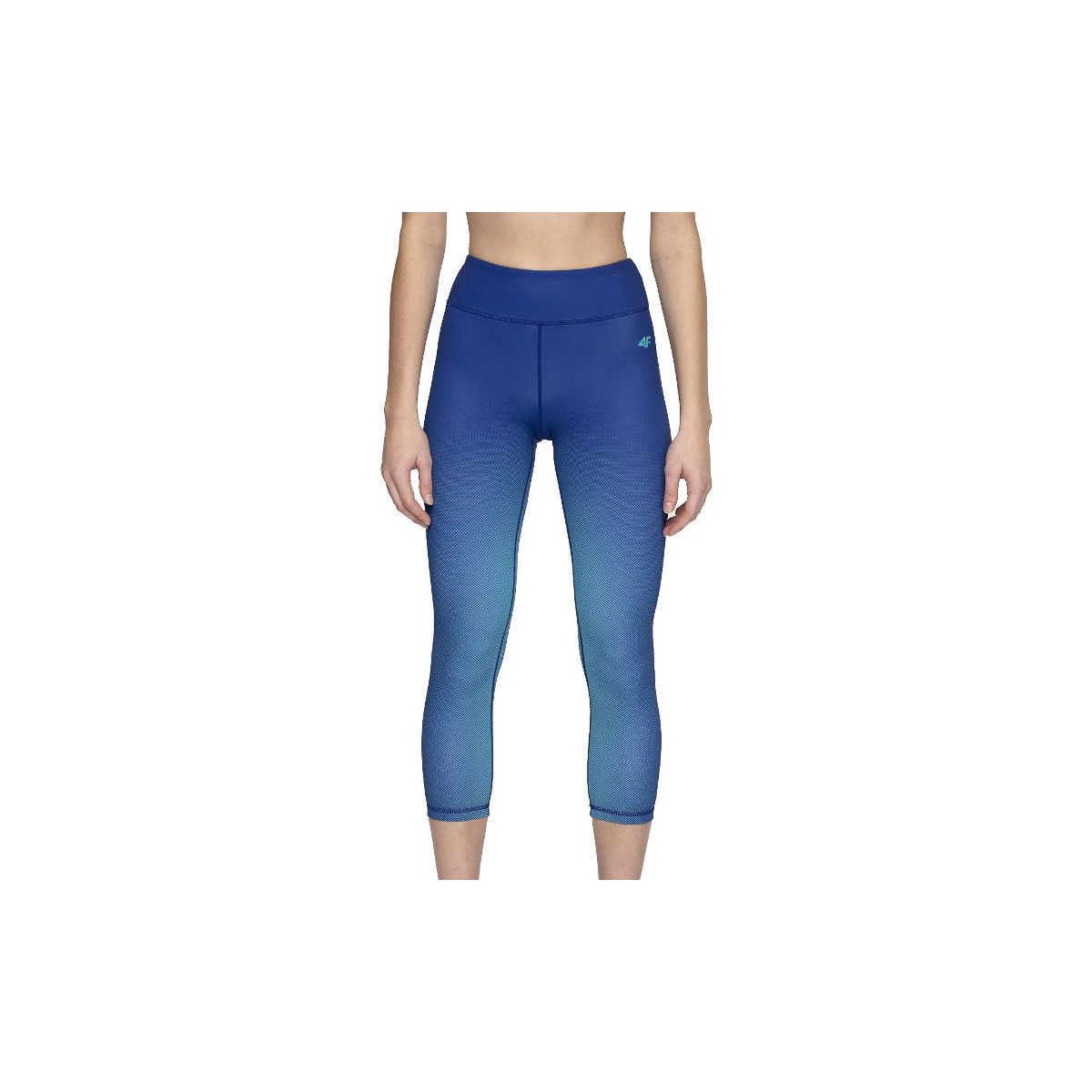 Levně 4F Legíny / Punčochové kalhoty Women's Functional Trousers Modrá