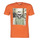 Textil Muži Trička s krátkým rukávem Jack & Jones JORSKULLING Oranžová