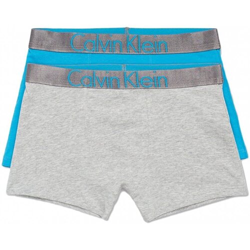 Spodní prádlo Děti Boxerky Calvin Klein Jeans B70B700210-0IM           