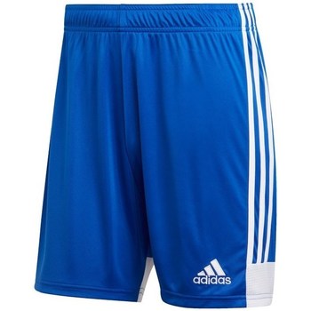 Textil Muži Tříčtvrteční kalhoty adidas Originals Tastigo 19 Modrá