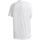 Textil Muži Trička s krátkým rukávem adidas Originals Brilliant Basics Tee Bílá