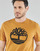 Textil Muži Trička s krátkým rukávem Timberland SS KENNEBEC RIVER BRAND TREE TEE Velbloudí hnědá