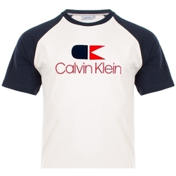 Textil Muži Trička s krátkým rukávem Calvin Klein Jeans K10K104040 Modrý