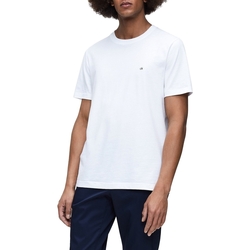 Textil Muži Trička s krátkým rukávem Calvin Klein Jeans K10K105257 Bílý
