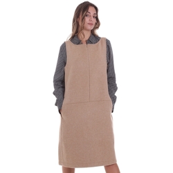 Textil Ženy Krátké šaty Calvin Klein Jeans K20K202451 Béžový