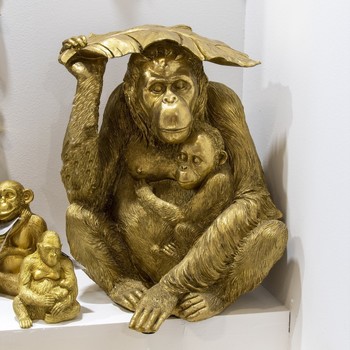 Signes Grimalt Zlatý Orangutan. Zlatá