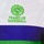 Textil Muži Bundy Franklin & Marshall MELBOURNE Zelená / Bílá / Modrá
