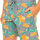 Textil Muži Pyžamo / Noční košile Tommy Hilfiger UM0UM00153-416           