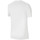 Textil Muži Trička s krátkým rukávem Nike Dri-Fit Park 20 Tee Bílá