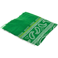 Textilní doplňky Muži Šály / Štóly Guess Accesorios AM8764MOD03-GRE Zelená
