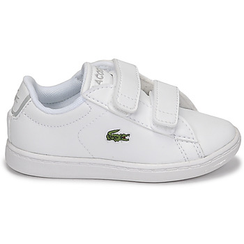 Lacoste CARNABY EVO BL 21 1 SUI