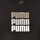 Textil Dívčí Trička s krátkým rukávem Puma ALPHA TEE Černá