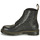 Boty Ženy Kotníkové boty Dr. Martens 1460 FLAMES Černá