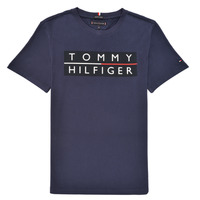 Textil Chlapecké Trička s krátkým rukávem Tommy Hilfiger TERRAD Tmavě modrá