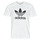 Textil Muži Trička s krátkým rukávem adidas Originals TREFOIL T-SHIRT Bílá
