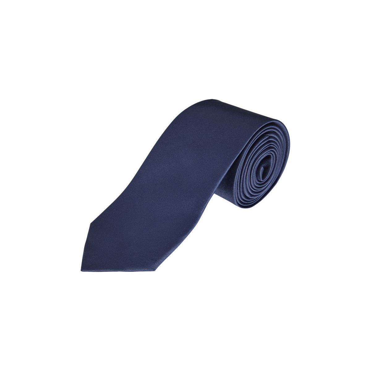Textil Muži Obleky a kravaty  Sols GARNER - CORBATA Modrá