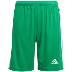 Textil Chlapecké Tříčtvrteční kalhoty adidas Originals JR Squadra 21 Zelená