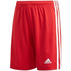 Textil Chlapecké Tříčtvrteční kalhoty adidas Originals JR Squadra 21 Červená