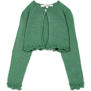 Textil Dívčí Mikiny Villalobos  Zelená