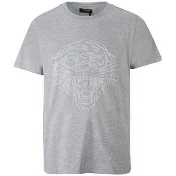 Textil Muži Trička s krátkým rukávem Ed Hardy Tiger glow t-shirt mid-grey Šedá