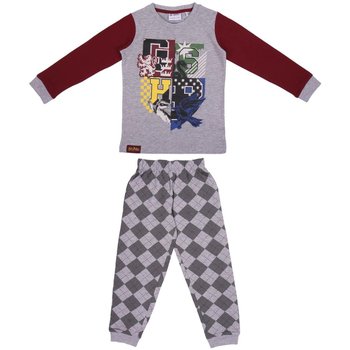 Textil Děti Pyžamo / Noční košile Harry Potter 2200006346 Šedá