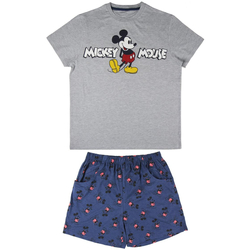 Textil Muži Pyžamo / Noční košile Disney 2200004974 Gris