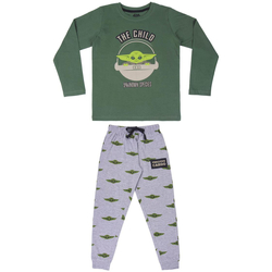 Textil Děti Pyžamo / Noční košile Disney 2200007123 Verde