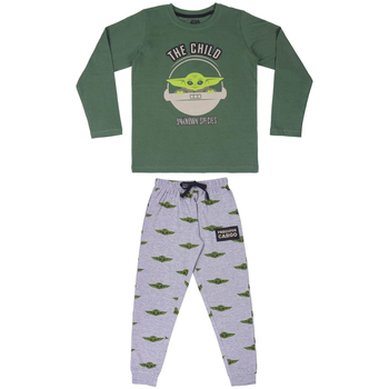 Textil Děti Pyžamo / Noční košile Disney 2200007123 Verde