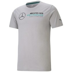 Textil Muži Trička s krátkým rukávem Puma Mercedes F1 Logo Šedá