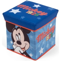 Bydlení Děti Kufry / úložné boxy Disney WD13015 Modrá