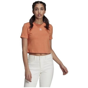 Textil Ženy Trička s krátkým rukávem adidas Originals Adicolor Classics Oranžová