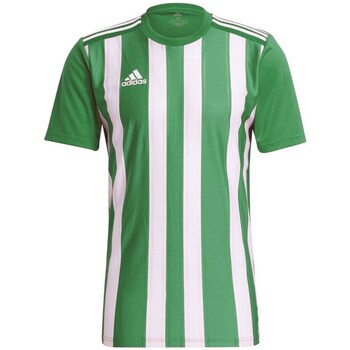 Textil Muži Trička s krátkým rukávem adidas Originals Striped 21 Zelené, Bílé