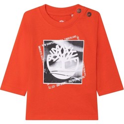 Textil Chlapecké Větrovky Timberland  Oranžová